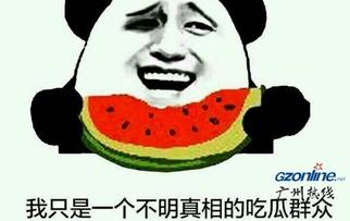 吃瓜网看不了,吃瓜网无法访问背后的真相